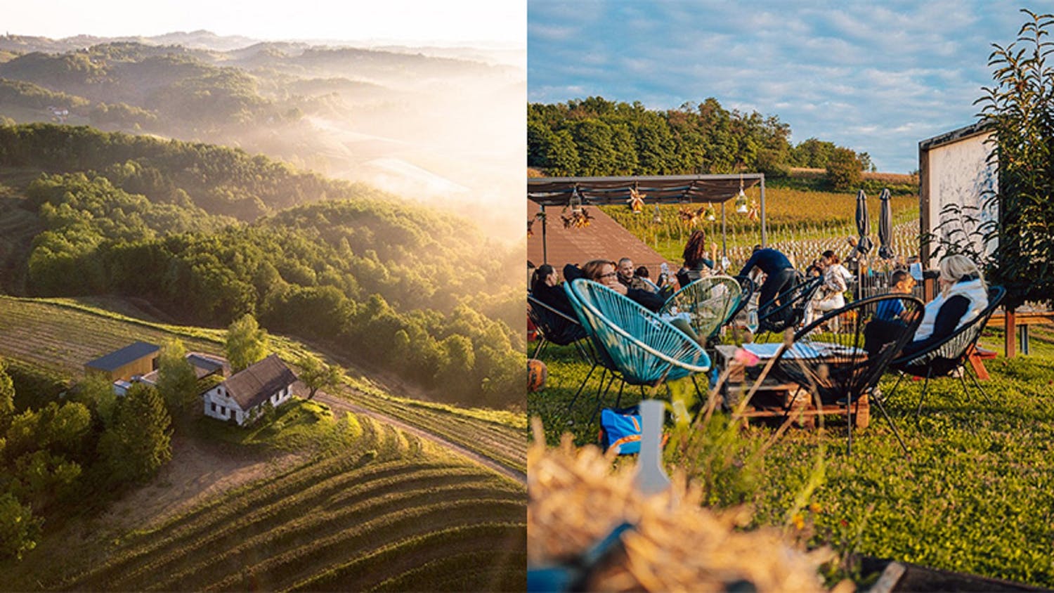 2024-top-wine-destinations-internal-haloze-slovenia